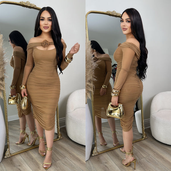 Monica Mesh Dress (Taupe)