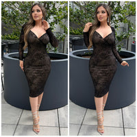 Anabelle Mesh Dress (Black)