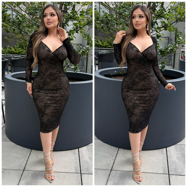 Anabelle Mesh Dress (Black)