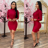 My Type Mini Dress (Red)