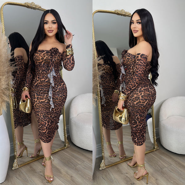 Wild Love Leopard Mesh Dress