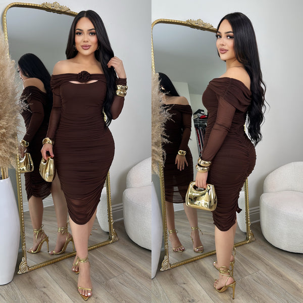 Monica Mesh Dress (Brown)