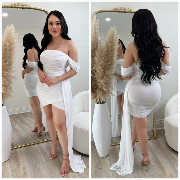 Beauty Mesh Dress (White)